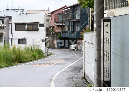 東京の坂道・蛇坂【東京都北区赤羽】 東京の坂道・蛇坂【東京都北区赤羽】 130011575