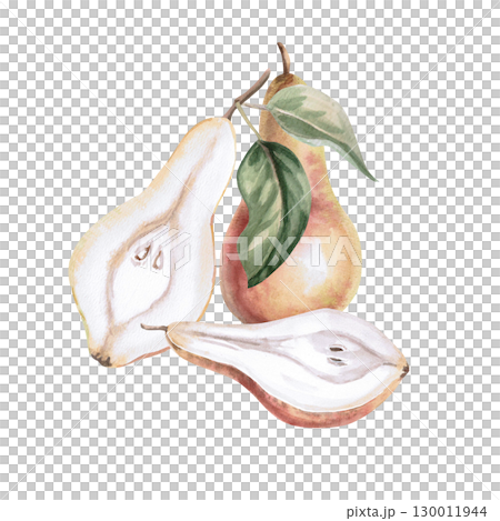 Composition with two halves of pears and a whole one. Isolated watercolor illustration of fruits for product line design, kitchenware design, seasonal menu, postcards, textiles, clothing printing. Composition with two halves of pears and a whole one. Isolated watercolor illustration of fruits for product line design, kitchenware design, seasonal menu, postcards, textiles, clothing printing. 130011944