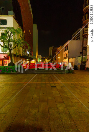 250418はりまや橋 130011988