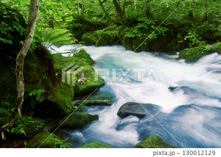 初夏の奥入瀬渓流・阿修羅の流れ（青森県・十和田市） 130012129