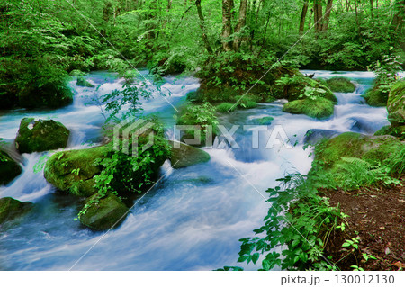 初夏の奥入瀬渓流・阿修羅の流れ（青森県・十和田市） 130012130