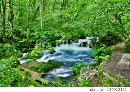 初夏の奥入瀬渓流・阿修羅の流れ（青森県・十和田市） 130012132