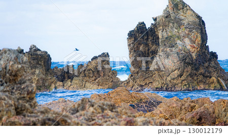 冬の青森県深浦町五能線近くのの海岸 冬の青森県深浦町五能線近くのの海岸 130012179