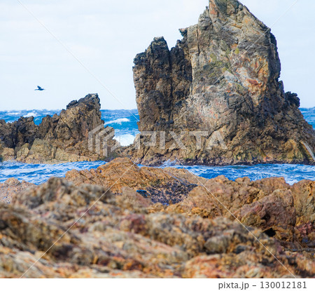 冬の青森県深浦町五能線近くのの海岸 冬の青森県深浦町五能線近くのの海岸 130012181