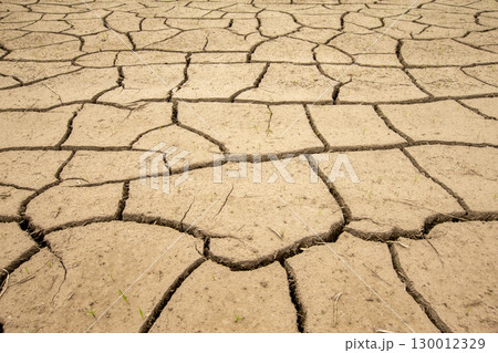 干ばつした田んぼ ひび割れ 干ばつした田んぼ ひび割れ 130012329