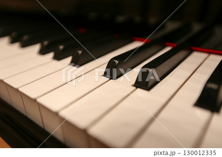 グランドピアノ鍵盤 130012335