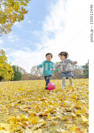 黄葉の公園で遊ぶ女の子と男の子 黄葉の公園で遊ぶ女の子と男の子 130012446