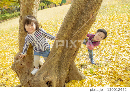 黄葉の公園で遊ぶ女の子と男の子 黄葉の公園で遊ぶ女の子と男の子 130012452