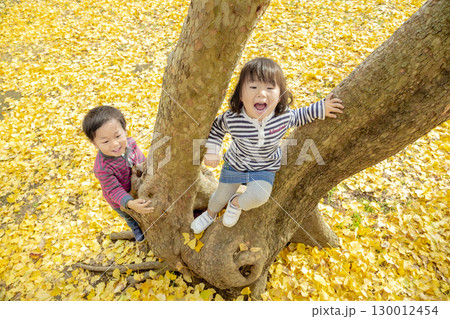 黄葉の公園で遊ぶ女の子と男の子 130012454