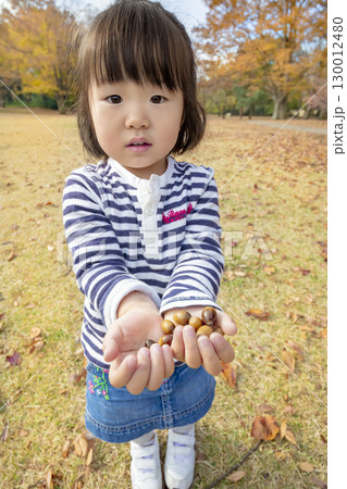 紅葉の公園で手に乗せたどんぐりを見せる女の子 130012480