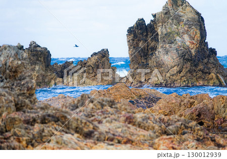 冬の青森県深浦町五能線近くのの海岸 冬の青森県深浦町五能線近くのの海岸 130012939