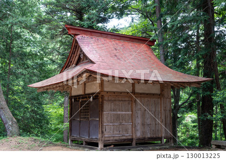 Shinmei Shrine surrounded by forest trees in Takayama, Japan 130013225
