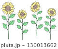 ひまわりのイラスト 130013662
