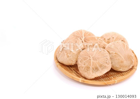 しいたけ 生どんこ 大きい 明るい背景 食材 しいたけ 生どんこ 大きい 明るい背景 食材 130014093