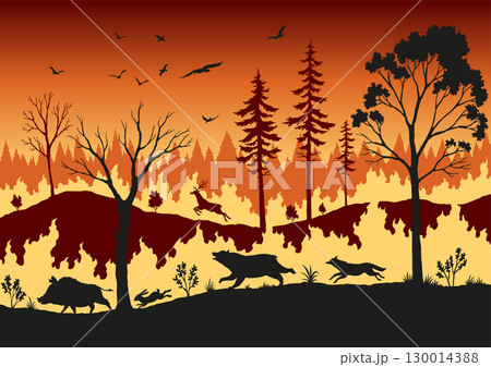 Forest fire. Burning spruces and oak trees, wood plants in flame. Forest fires in Amazon and Australia with silhouettes of wild animals 130014388