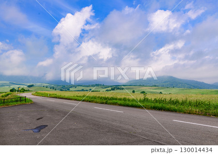 青空のナイタイ高原牧場 青空のナイタイ高原牧場 130014434