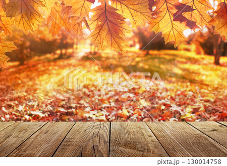 colorful fall leaves on wooden floor, autumn natural background of park with maple trees colorful fall leaves on wooden floor, autumn natural background of park with maple trees 130014758