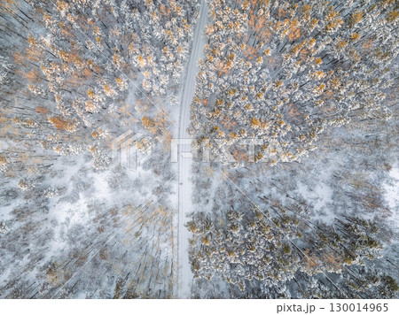 Aerial view of the road in the winter forest with high pine or spruce trees covered by snow. Driving in winter. 130014965