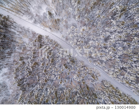 Aerial view of the road in the winter forest with high pine or spruce trees covered by snow. Driving in winter. 130014980