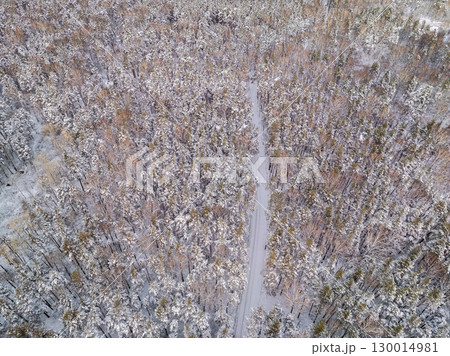 Aerial view of the road in the winter forest with high pine or spruce trees covered by snow. Driving in winter. 130014981