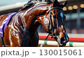 競馬のイメージ 130015061