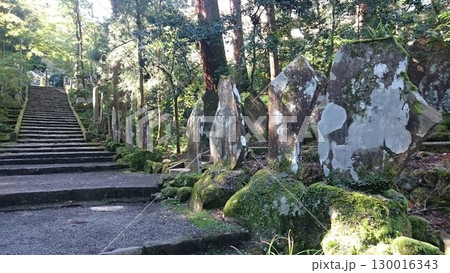 関東屈指の霊場!大雄山最乗寺に続く石段 関東屈指の霊場!大雄山最乗寺に続く石段 130016343