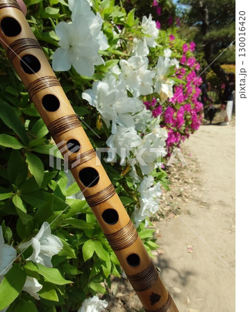 篠笛とツツジの花 篠笛とツツジの花 130016420
