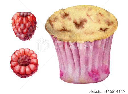 Cupcake muffin in paper liner cup with fresh ripe raspberry berries, hand drawn in watercolor. Isolated dessert illustration for recipe blogs, product labels, menu cards, food industry printables. 130016549