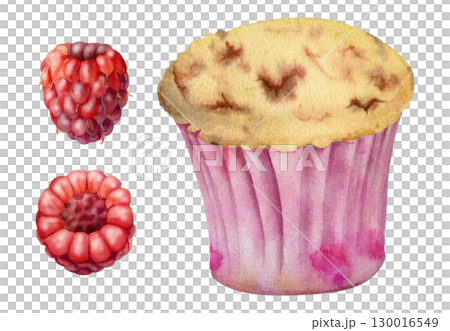 Cupcake muffin in paper liner cup with fresh ripe raspberry berries, hand drawn in watercolor. Isolated dessert illustration for recipe blogs, product labels, menu cards, food industry printables. 130016549
