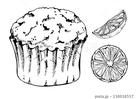 Candied orange slice, cupcake muffin pastry in frilly paper cup wrapper. Hand drawn in vector ink. eco-packaging for artisanal dessert boutiques, confectionery branding visuals, promotional flyers. 130016557