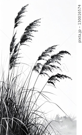 すすき日本画風-背景野原01 すすき日本画風-背景野原01 130016574