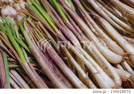 採れたての島らっきょう 採れたての島らっきょう 130016678