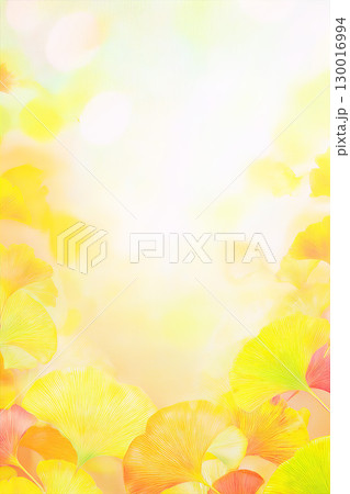 黄色く色づいたイチョウの背景素材 130016994