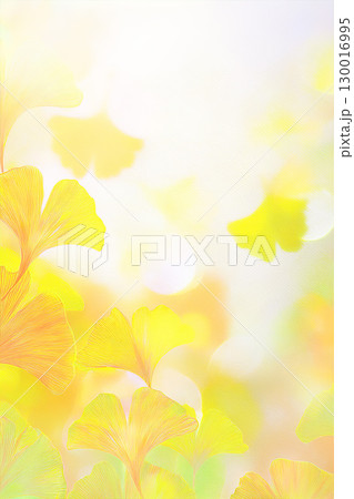 黄色く色づいたイチョウの背景素材 130016995