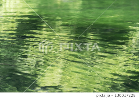 清らかな池の水に映る木々の緑と波紋 清らかな池の水に映る木々の緑と波紋 130017229