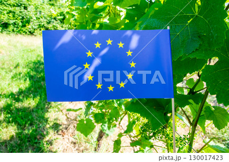 Flag of European Union on the nature background. 130017423