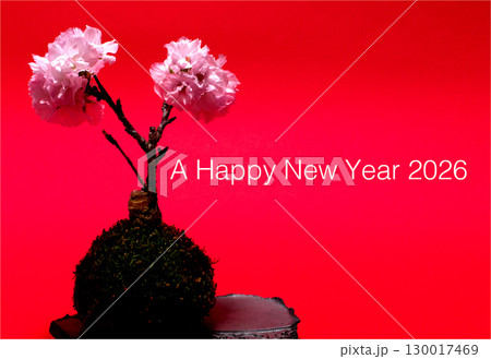 苔玉-桜_2026年賀 苔玉-桜_2026年賀 130017469