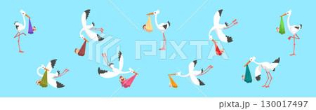 Flying Stork Bird Carrying Baby in Wrap Vector Set 130017497