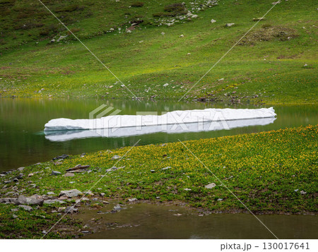floating ice floe on the lake has melted 130017641