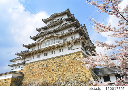 兵庫県姫路市　姫路城とソメイヨシノ 130017795