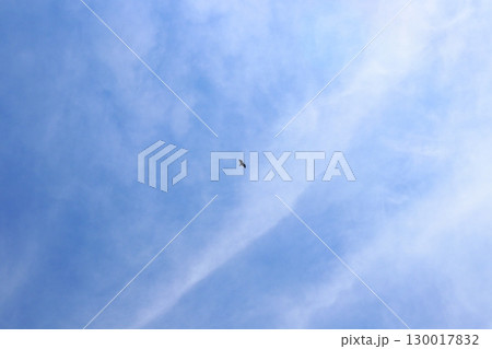 青空　薄い雲　トンビ　空のみ 130017832