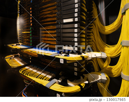 データセンター用の光ファイバーラック データセンター用の光ファイバーラック 130017985