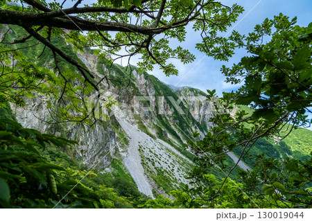 【日本百名山】大山ユートピアコースから見た北壁2　鳥取県西伯郡大山町 130019044