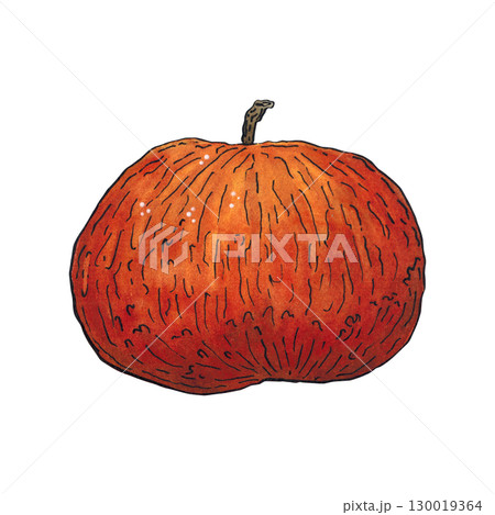 Red ripe apple. Watercolor hand drawn illustration. Drawing for stickers, cards, scrapbooking. Plants, harvest, fruit, autumn, food, dessert Red ripe apple. Watercolor hand drawn illustration. Drawing for stickers, cards, scrapbooking. Plants, harvest, fruit, autumn, food, dessert 130019364