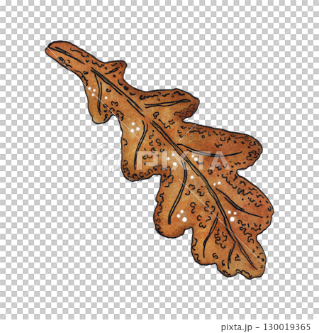 Autumn brown oak leaf. Watercolor hand drawn illustration. Drawing for stickers, cards, scrapbooking. Plants, autumn, leaf fall, oak, leaf 130019365
