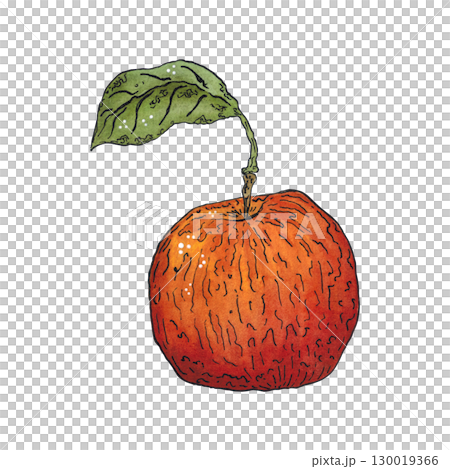 Red ripe apple with green leaf. Watercolor hand drawn illustration. Drawing for stickers, cards, scrapbooking. Plants, harvest, fruit, autumn, food, dessert Red ripe apple with green leaf. Watercolor hand drawn illustration. Drawing for stickers, cards, scrapbooking. Plants, harvest, fruit, autumn, food, dessert 130019366