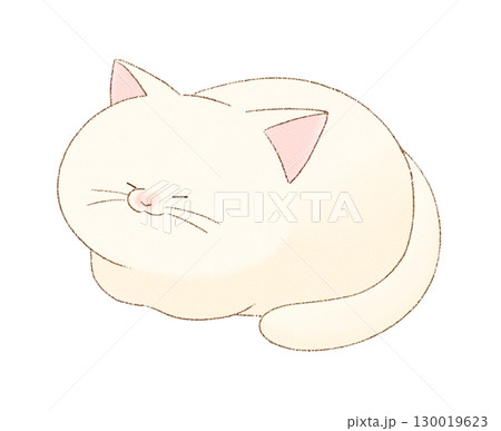 香箱座りで眠る白猫 香箱座りで眠る白猫 130019623