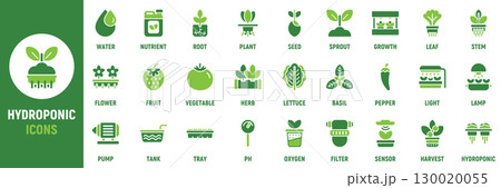 Hydroponic icon set. Containing plant, water, nutrient, root, sprout, leaf, light, pump, tank, tray, harvest and more. Solid vector icons collection 130020055