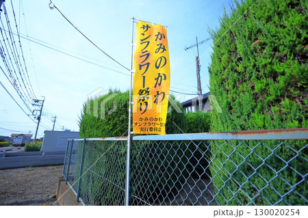 サンフラワー祭り／栃木県上三川町 130020254