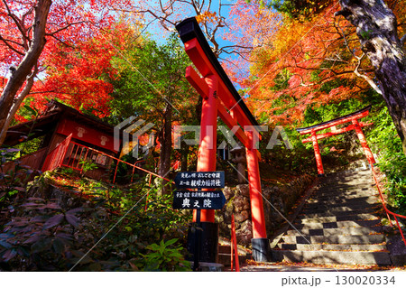 紅葉に包まれた赤い鳥居　眼力稲荷社 130020334